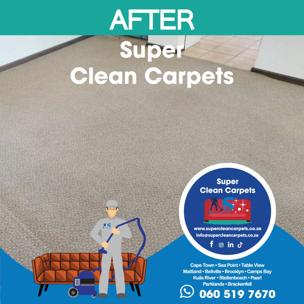 Carpet Cleaning Service Cape Town